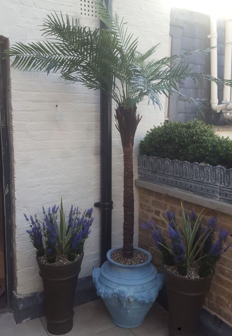 planting 1 747x1080 - Progress: Mayfair
