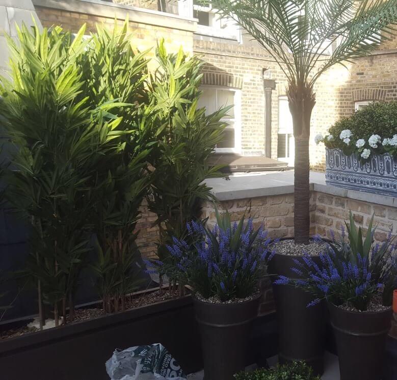 plants - Progress: Mayfair
