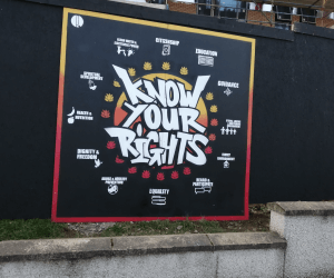 Screenshot 2021 03 23 at 15.32.16 300x250 - Mimosa Court, Derry: Street Art Project