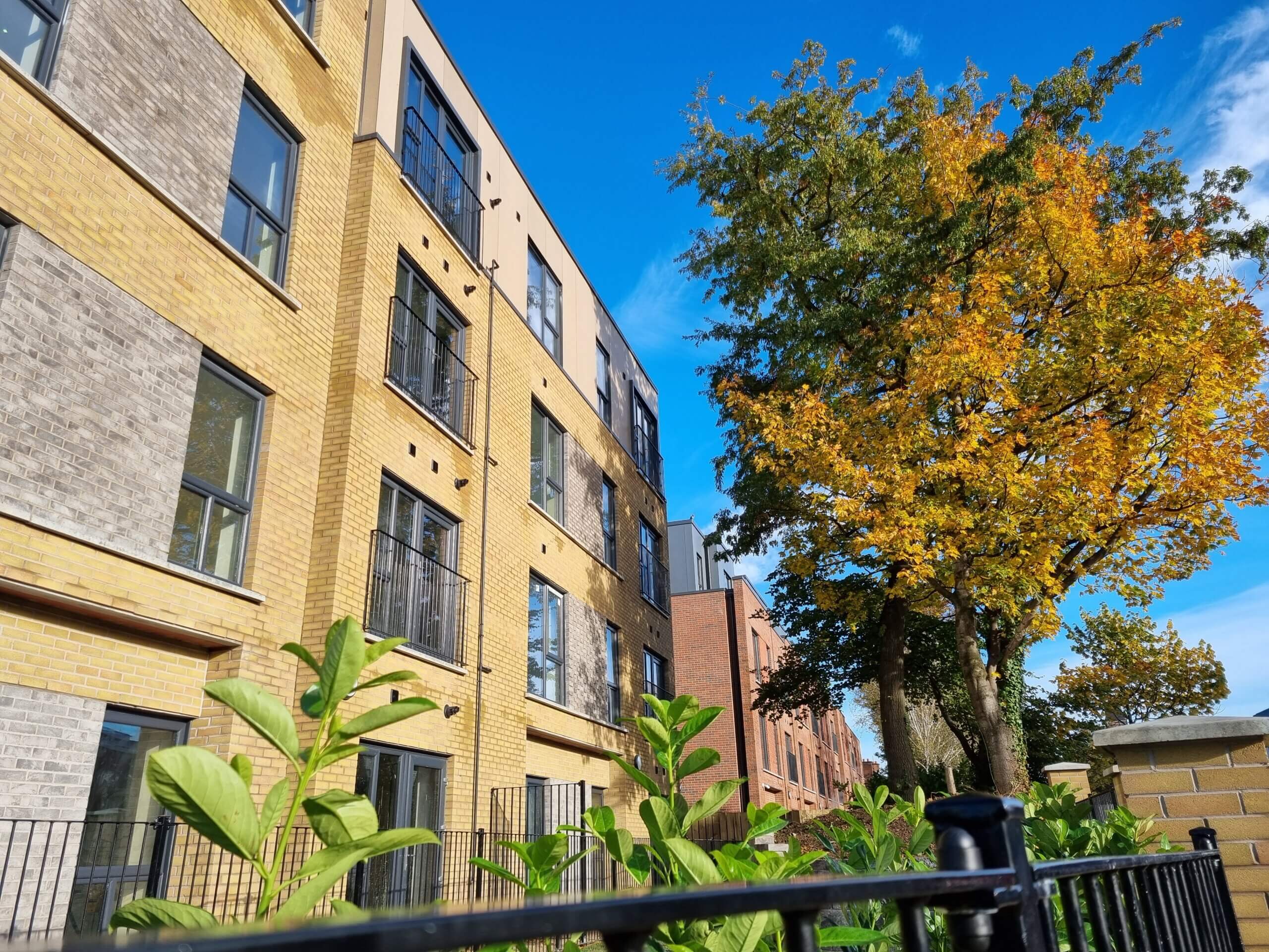 20231102 100651 scaled - Project Update: Park Avenue, Belfast