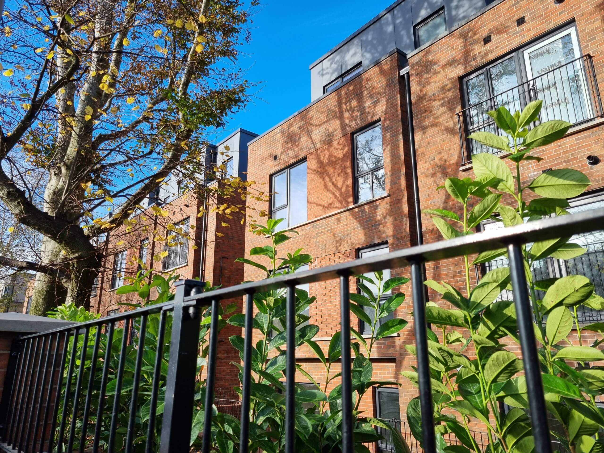 20231102 100807 scaled - Project Update: Park Avenue, Belfast