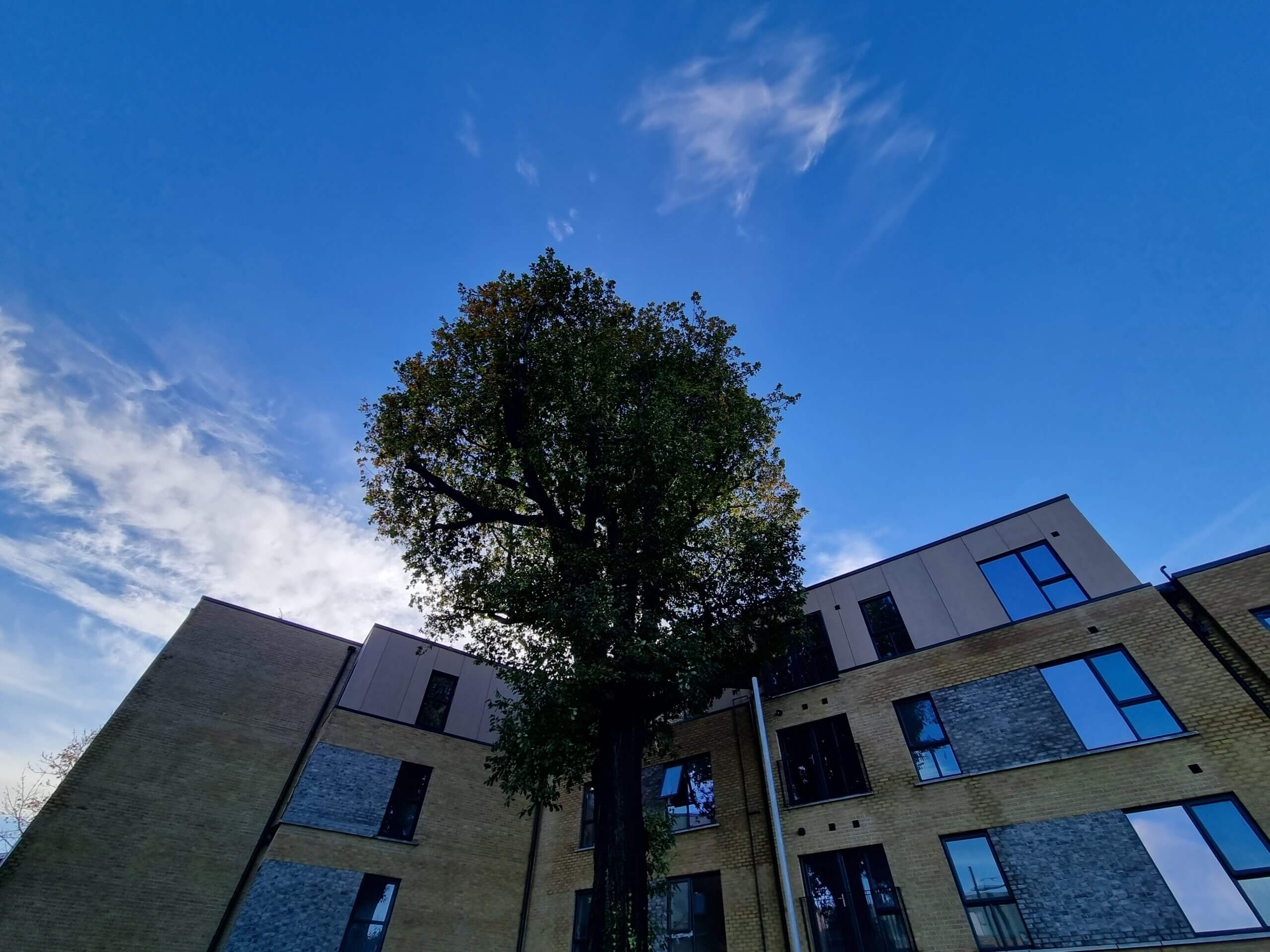 20231102 101248 scaled - Project Update: Park Avenue, Belfast